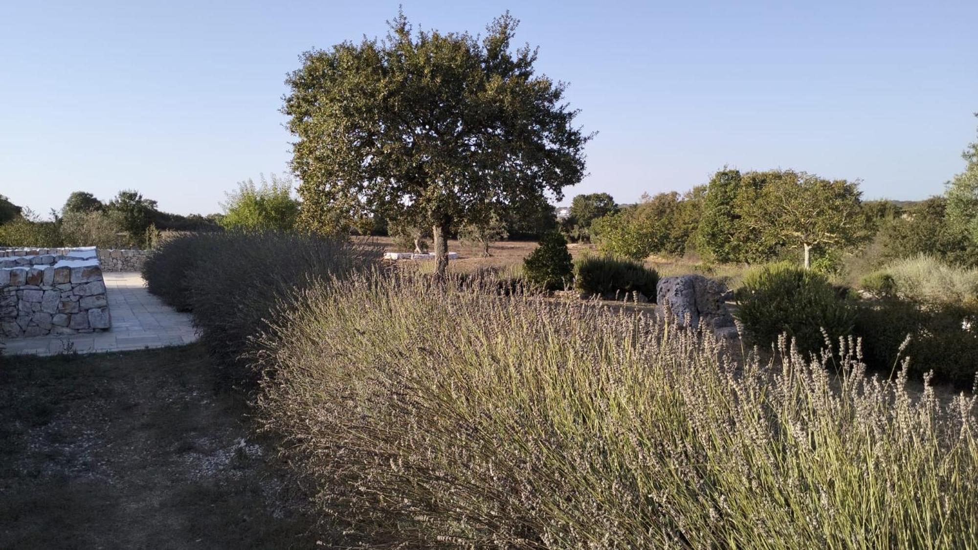 Trullo Dimora Podere Papilio Ночи Екстериор снимка