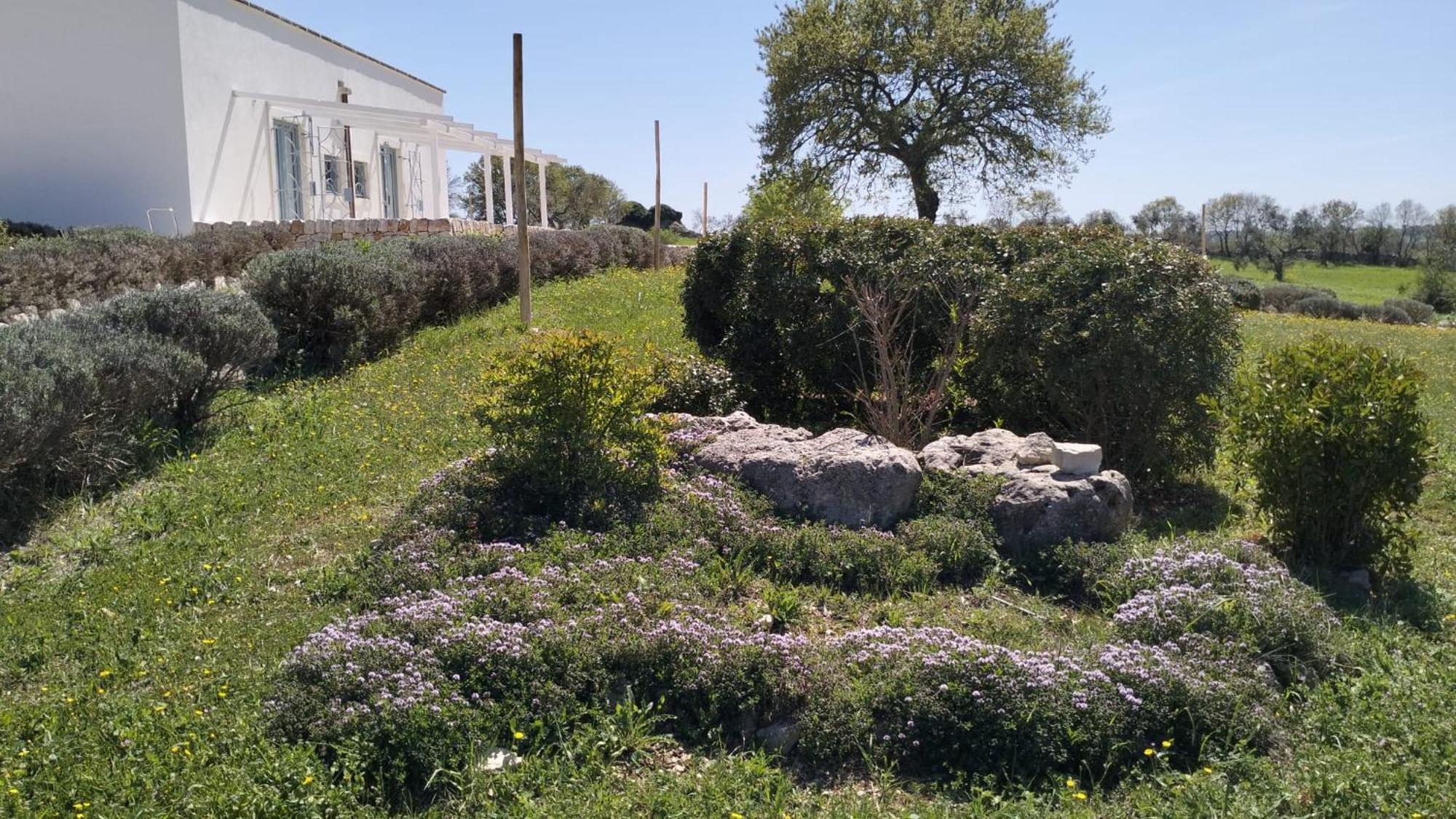 Trullo Dimora Podere Papilio Ночи Екстериор снимка